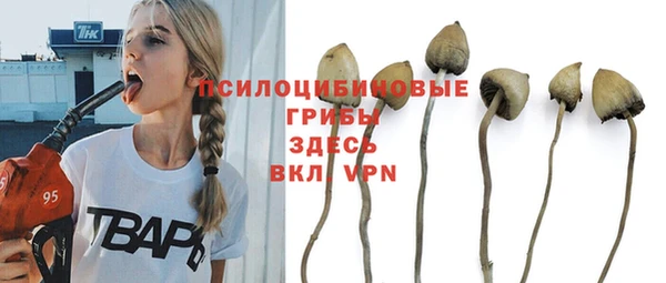 Альфа ПВП Аркадак