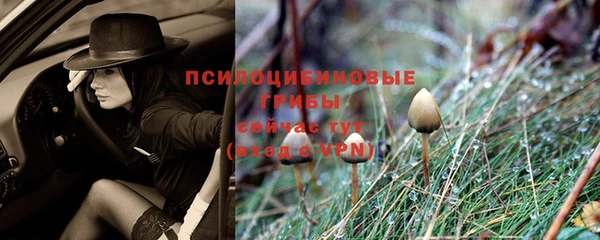 Альфа ПВП Арсеньев