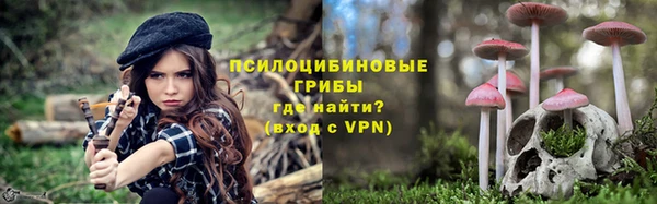 дживик Армянск