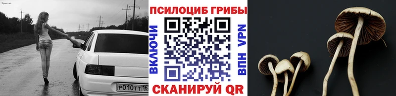 hydra ссылка  Окуловка  Псилоцибиновые грибы мицелий  дарнет шоп 